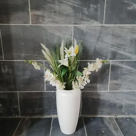 Le Quereau Saint-Macoux