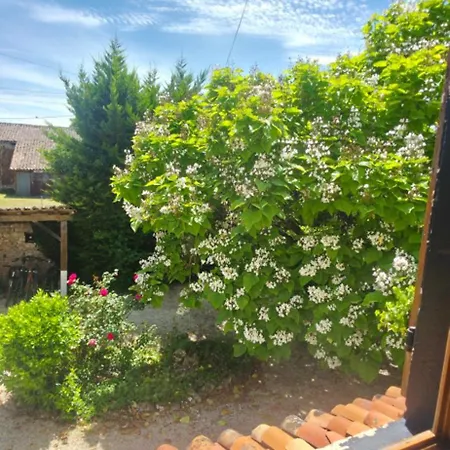 Le Quereau Holiday home Saint-Macoux