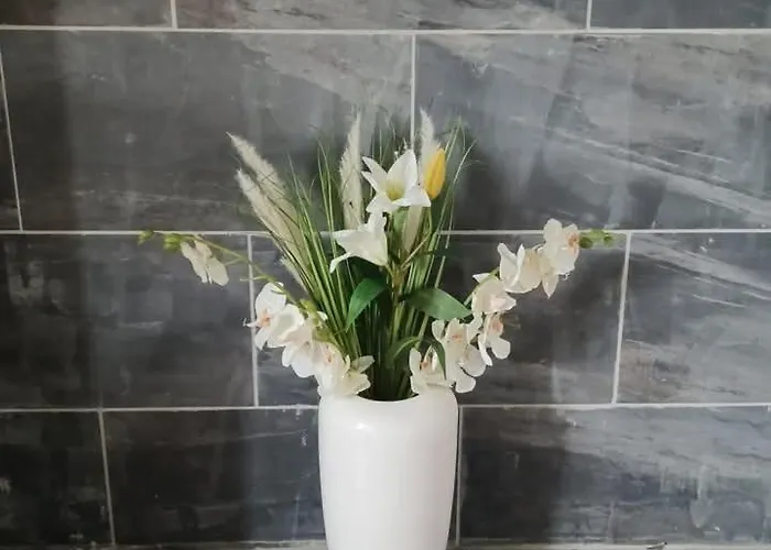 Le Quereau Saint-Macoux